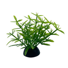 Load image into Gallery viewer, Artificial Plants Aquarium Decor Water Weeds Ornament Plant Fish Tank Aquarium Grass 2.5x5cm 1Pc Simulation Decoration#15