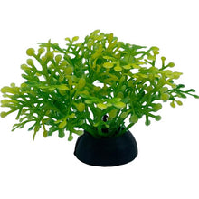Load image into Gallery viewer, Artificial Plants Aquarium Decor Water Weeds Ornament Plant Fish Tank Aquarium Grass 2.5x5cm 1Pc Simulation Decoration#15