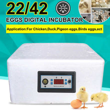 Load image into Gallery viewer, Incubation Box 22/42 Eggs Digital Incubator Automatic Suitable for Hatching Snake Lizards Reptile Breeding Box with LED lighting
