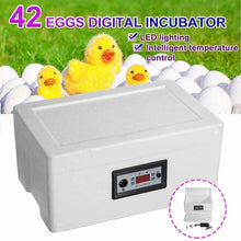 Load image into Gallery viewer, Incubation Box 22/42 Eggs Digital Incubator Automatic Suitable for Hatching Snake Lizards Reptile Breeding Box with LED lighting
