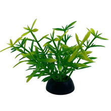 Load image into Gallery viewer, Artificial Plants Aquarium Decor Water Weeds Ornament Plant Fish Tank Aquarium Grass 2.5x5cm 1Pc Simulation Decoration#15
