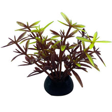 Load image into Gallery viewer, Artificial Plants Aquarium Decor Water Weeds Ornament Plant Fish Tank Aquarium Grass 2.5x5cm 1Pc Simulation Decoration#15

