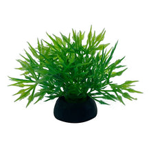 Load image into Gallery viewer, Artificial Plants Aquarium Decor Water Weeds Ornament Plant Fish Tank Aquarium Grass 2.5x5cm 1Pc Simulation Decoration#15
