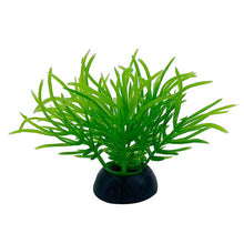 Load image into Gallery viewer, Artificial Plants Aquarium Decor Water Weeds Ornament Plant Fish Tank Aquarium Grass 2.5x5cm 1Pc Simulation Decoration#15
